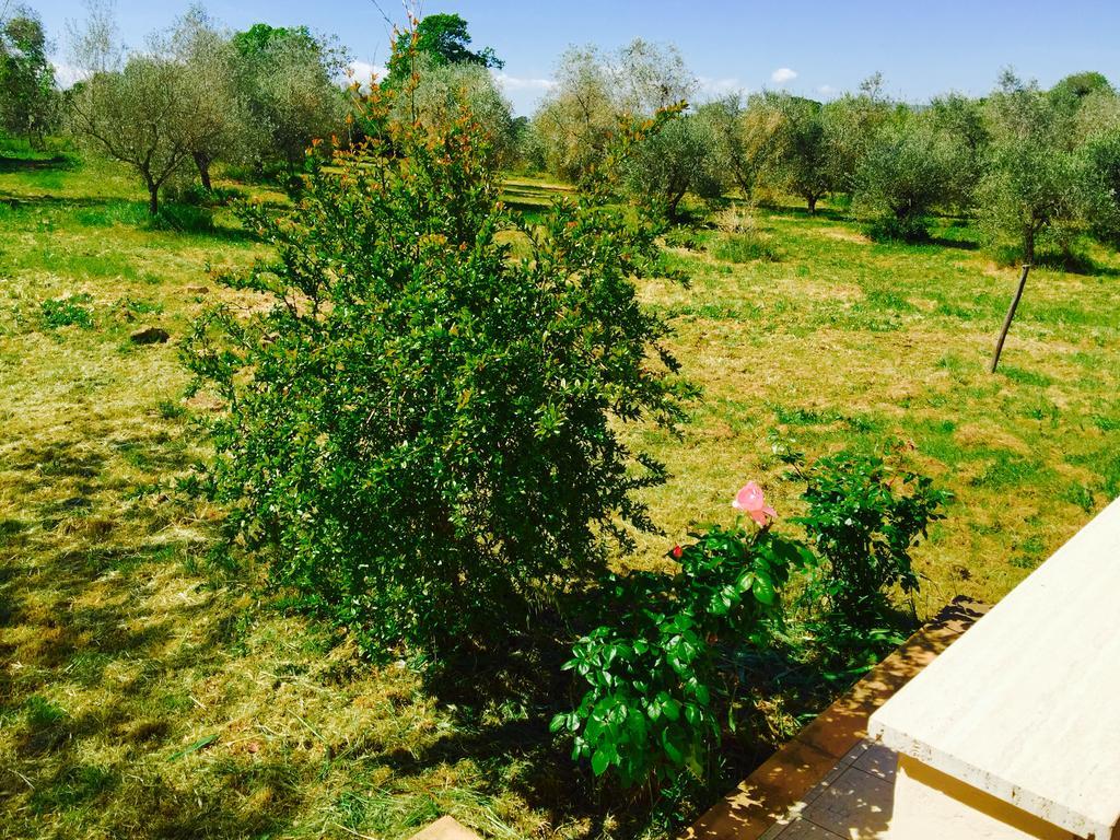 Country House Maremma Nel Tufo Питильяно Экстерьер фото